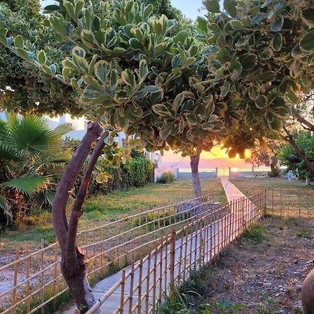 Villamare Nerántza المظهر الخارجي الصورة