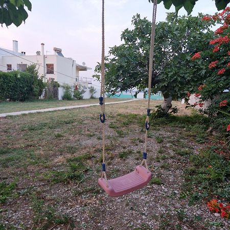 Villamare Nerántza المظهر الخارجي الصورة