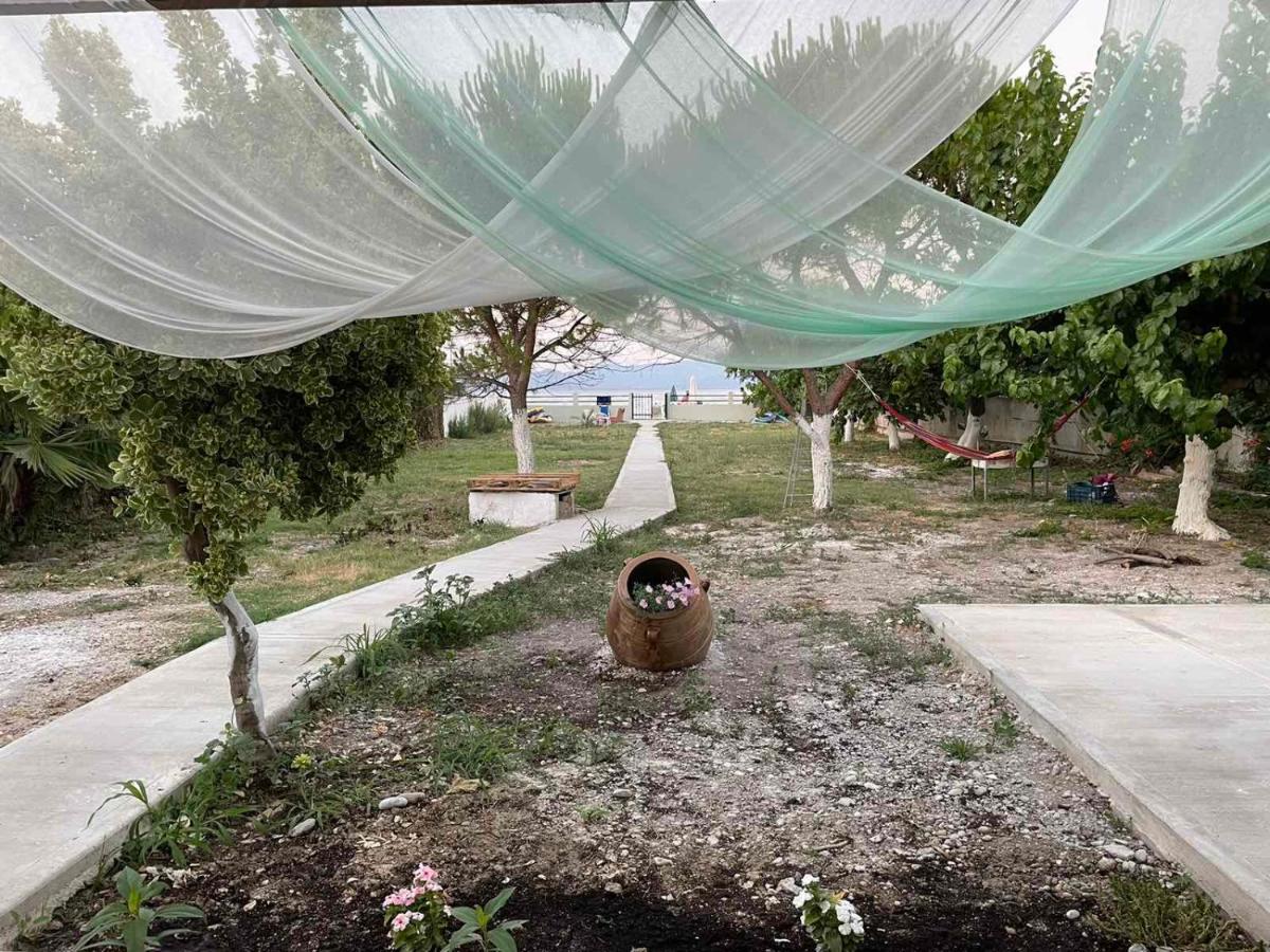 Villamare Nerántza المظهر الخارجي الصورة