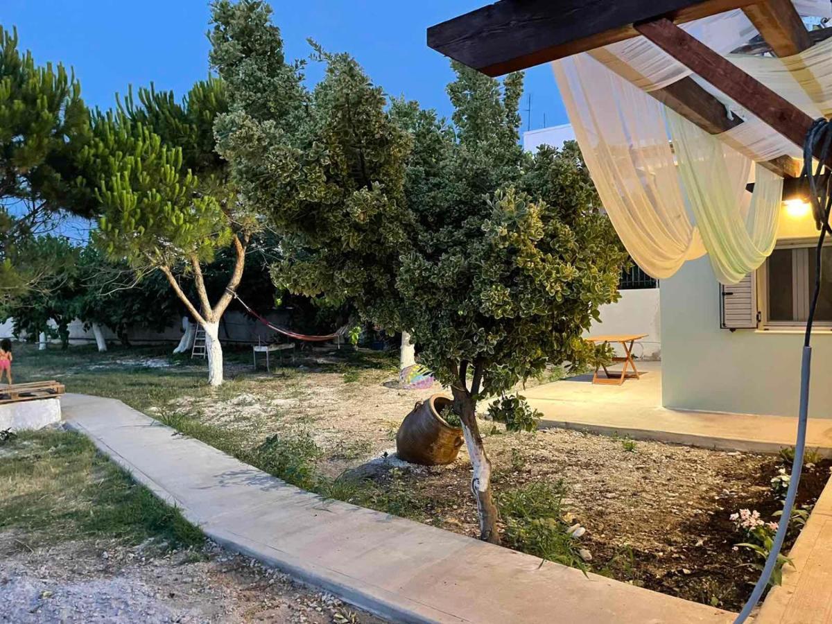 Villamare Nerántza المظهر الخارجي الصورة