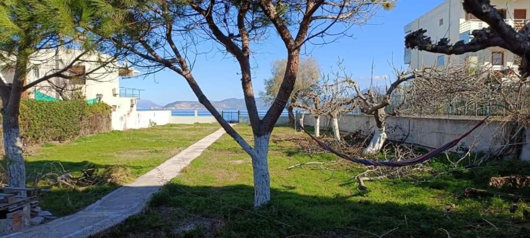 Villamare Nerántza المظهر الخارجي الصورة