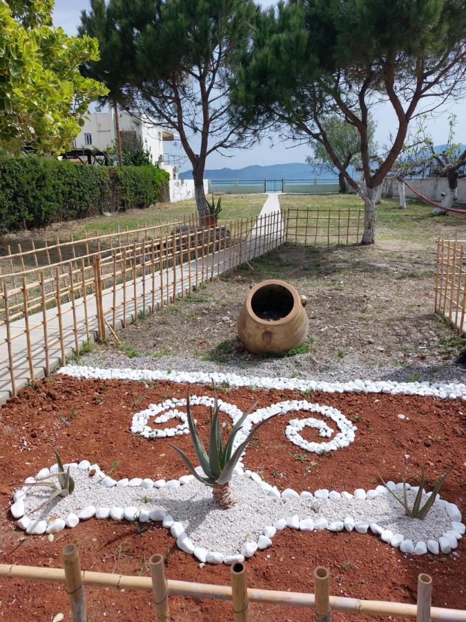 Villamare Nerántza المظهر الخارجي الصورة