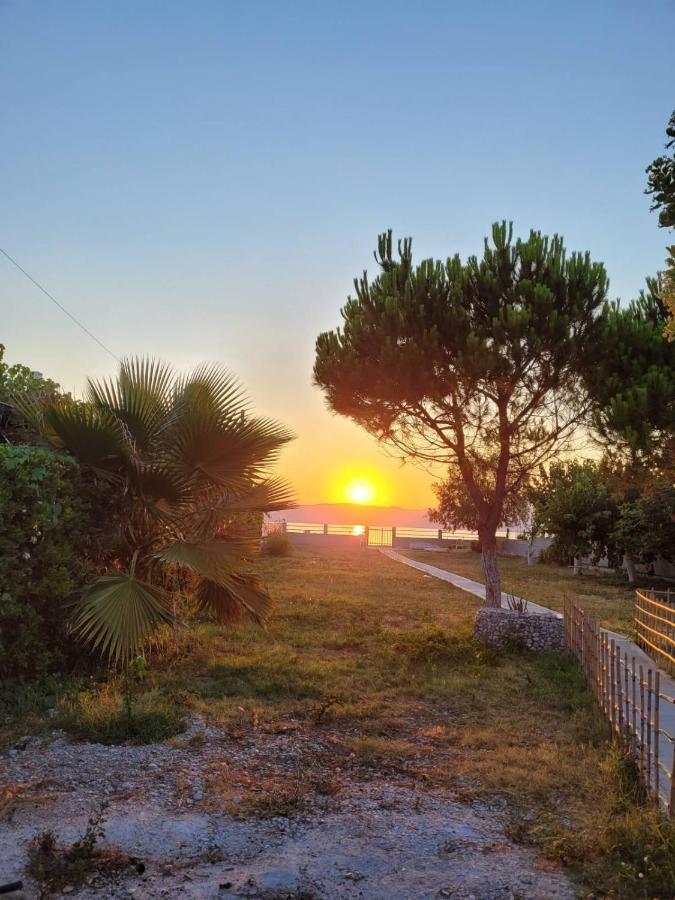 Villamare Nerántza المظهر الخارجي الصورة