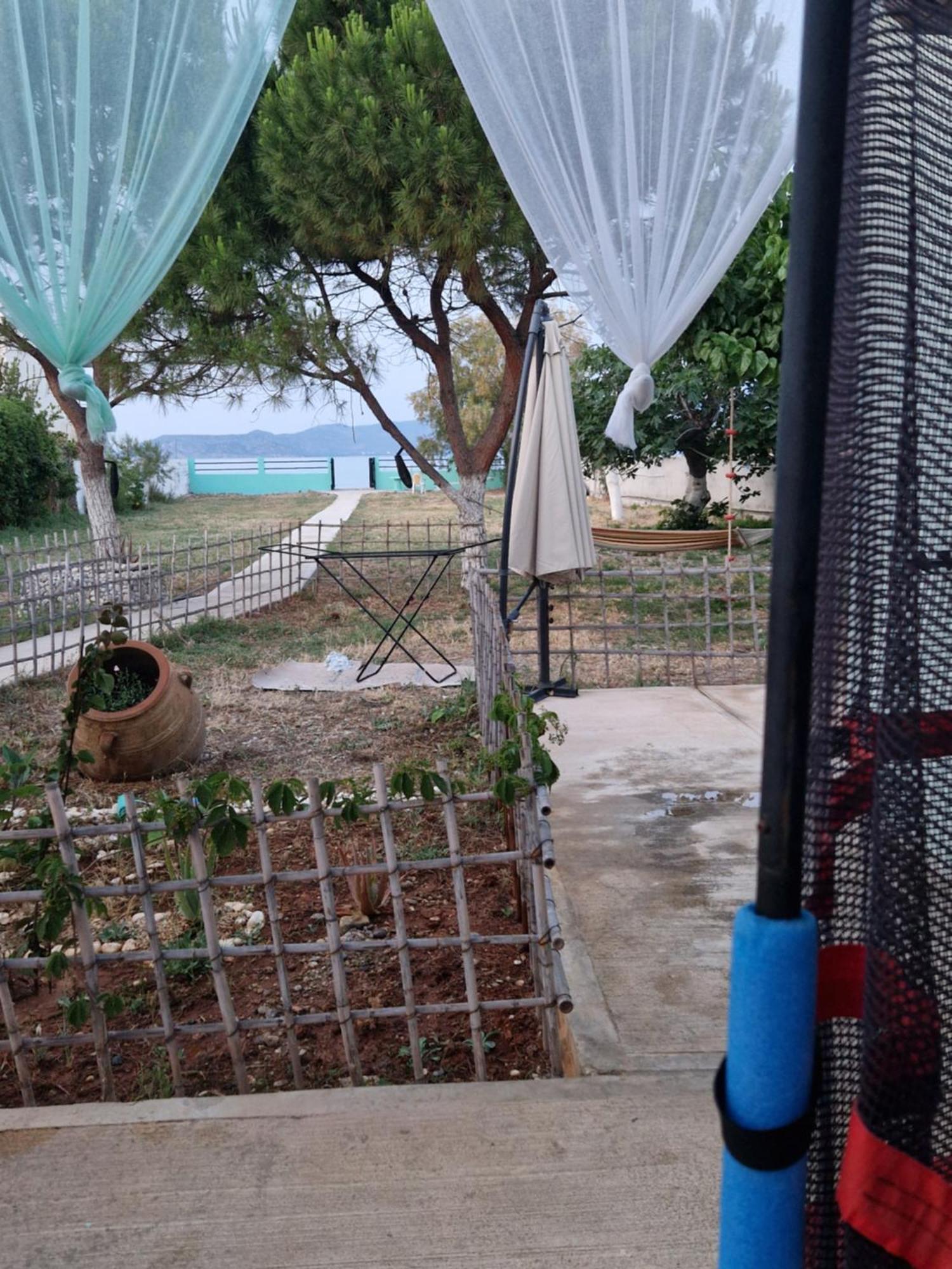 Villamare Nerántza المظهر الخارجي الصورة